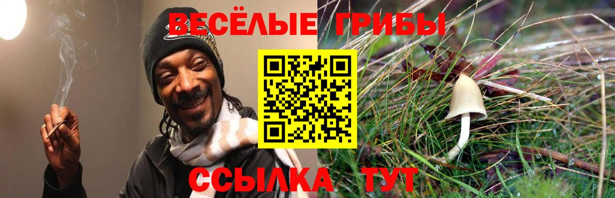Псилоцибиновые грибы прущие грибы Усолье-Сибирское